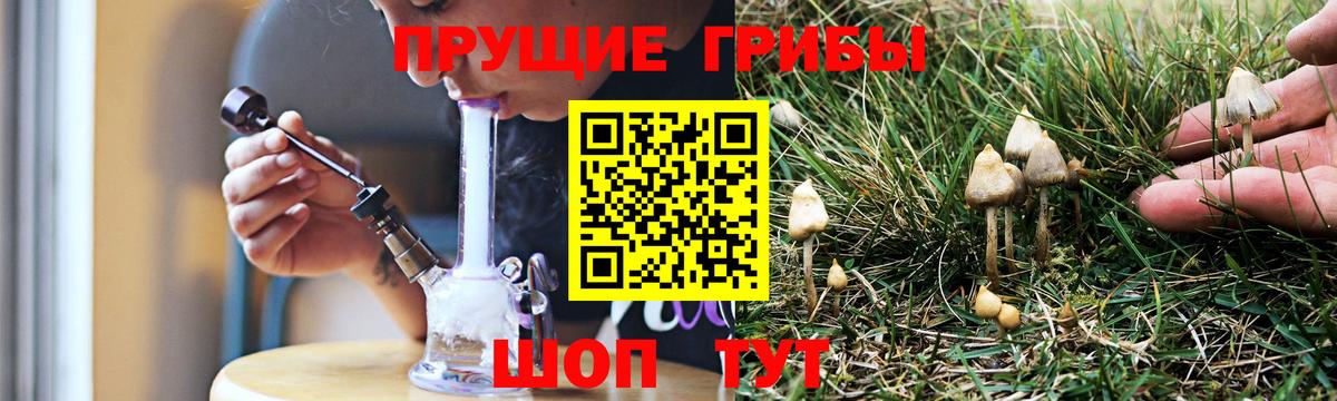 Псилоцибиновые грибы MAGIC MUSHROOMS  Галлюциногенные грибы Cubensis  Вход с VPN  Кохма 