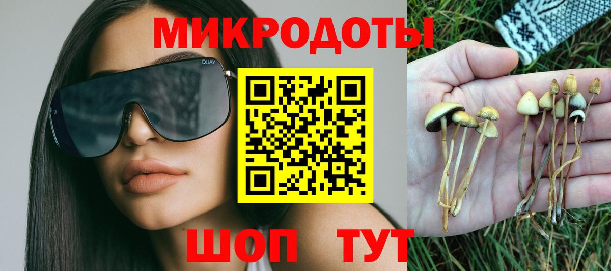 Галлюциногенные грибы Cubensis Кохма